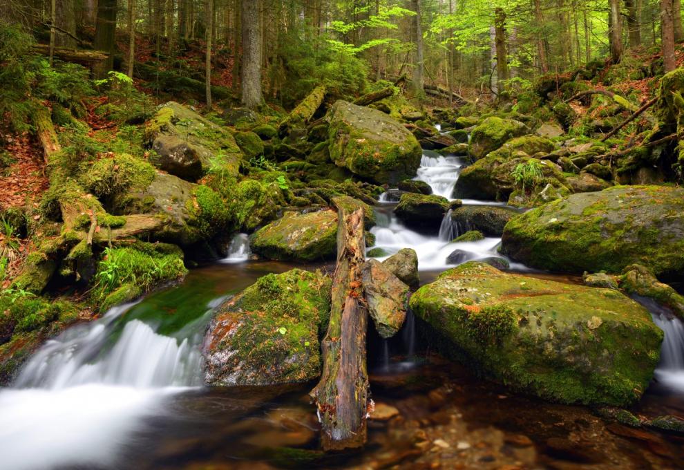 Šumava: největší národní park 