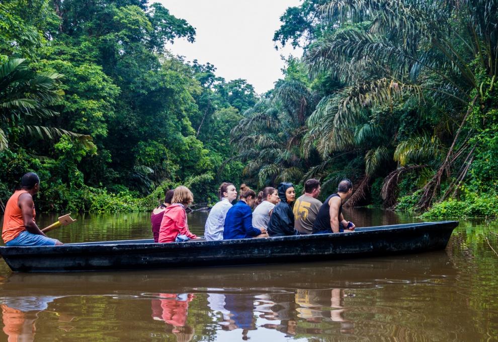 NP Tortuguero