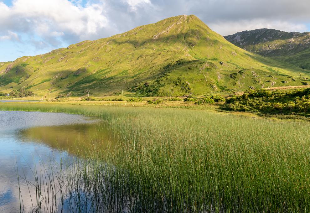 NP Connemara