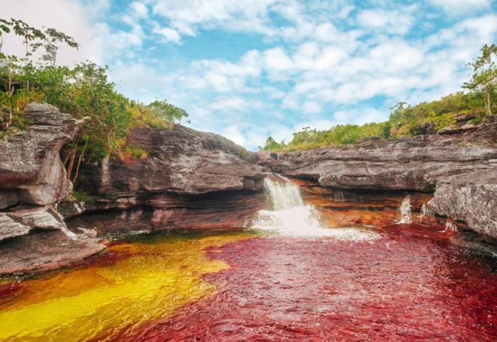 Caño Cristales