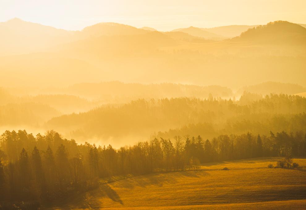 Ranní mlha na fotografii