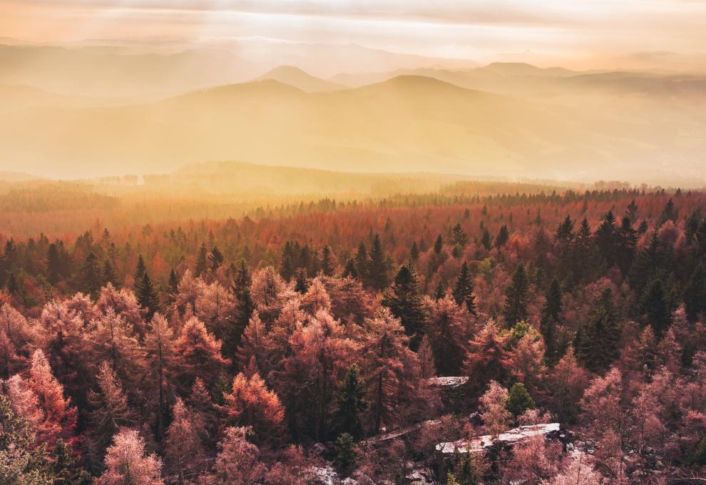 Krajinářská fotografie v zimě