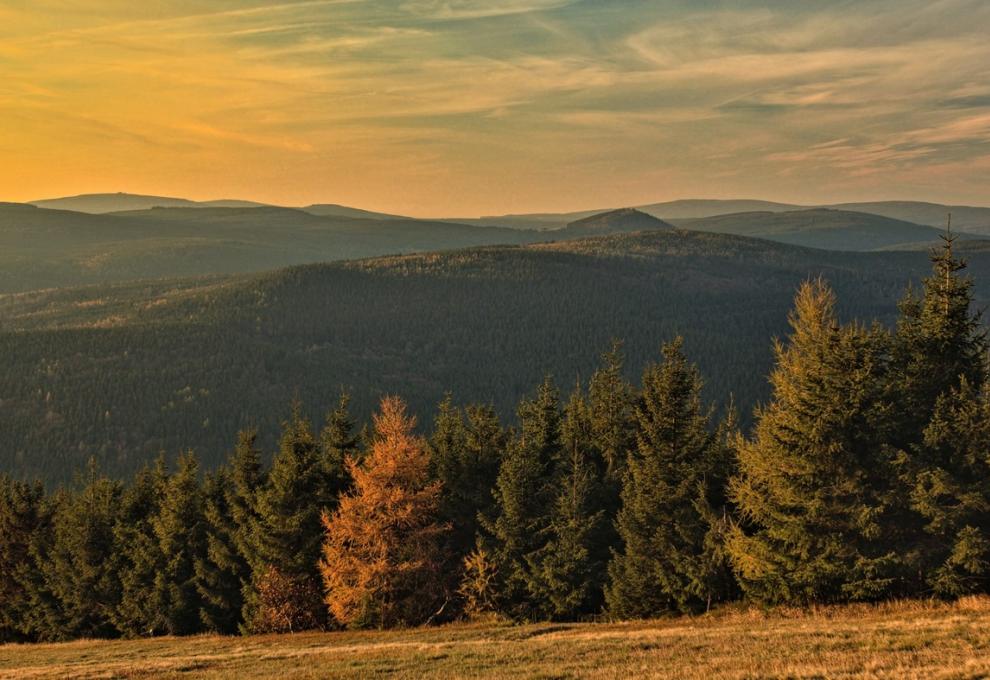 rozhovor s Viktorem Kunou úvodní