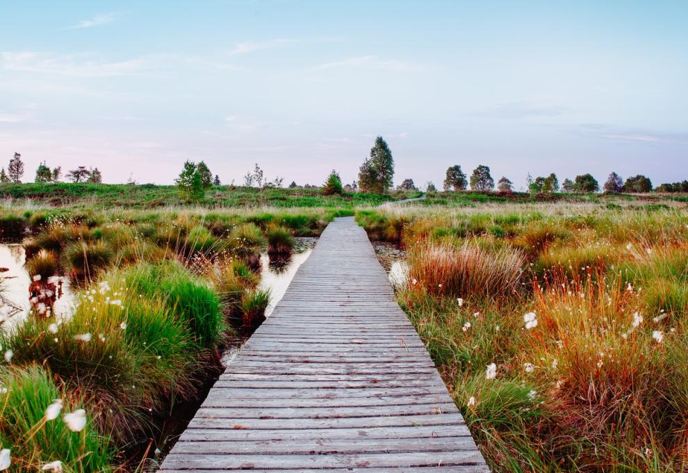 Hautes Fagnes-Eifel