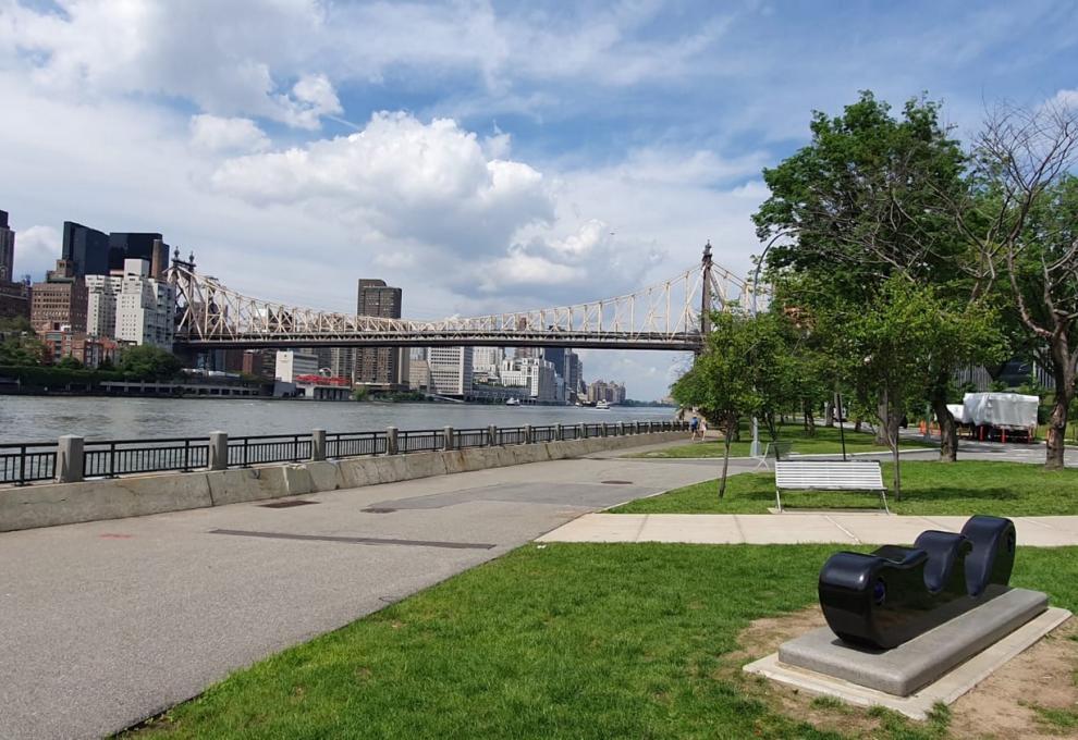 Roosevelt Island 3