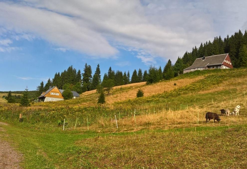 Eliščino údolí
