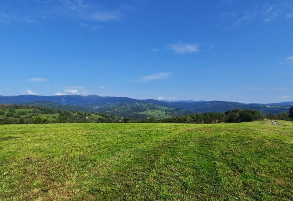 Vysoké nad Jizerou