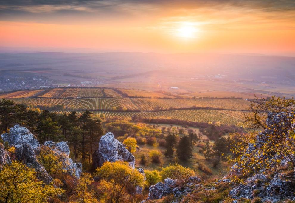 Podzimní krajina s vinicemi, lesy a skalisky při západu slunce