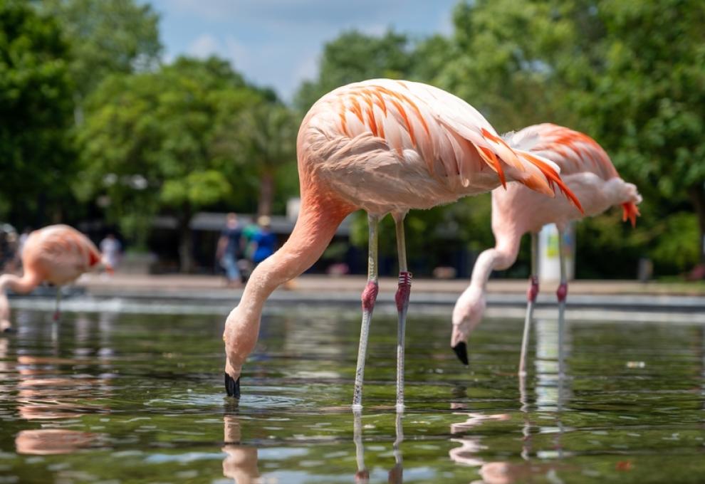 Rombergpark Dortmund