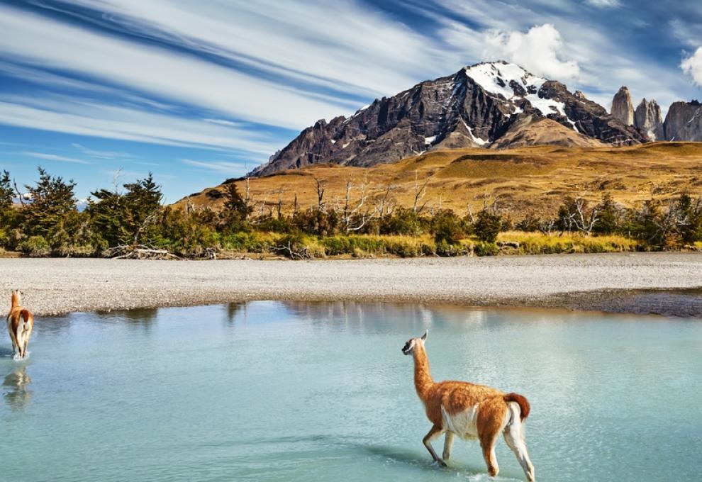 trek v Torres del Paine