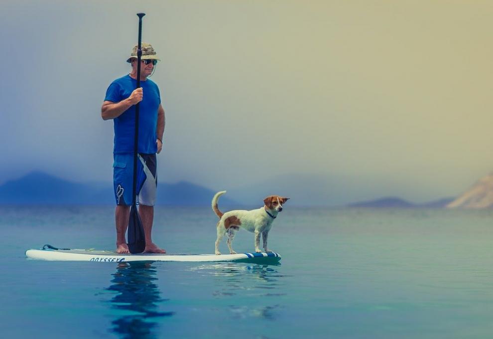 jak vybrat paddleboard