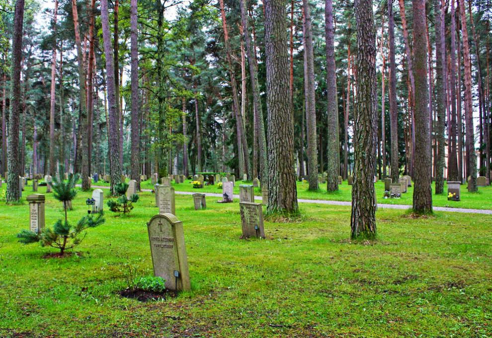 Cesta v borovém lese na hřbitově Skogskyrkogarden, jih Stockholmu ve Švédsku.  - Cestovinky.cz