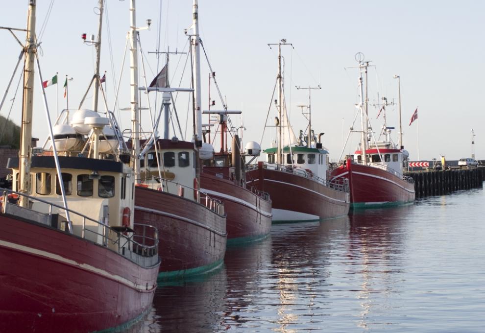 Rybářské lodě kotvící v přístavišti dánského města Helsingor. - Cestovinky.cz