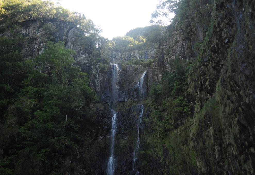 Vavřínový les na ostrově Madeira - vodopád Risco - Cestovinky.cz