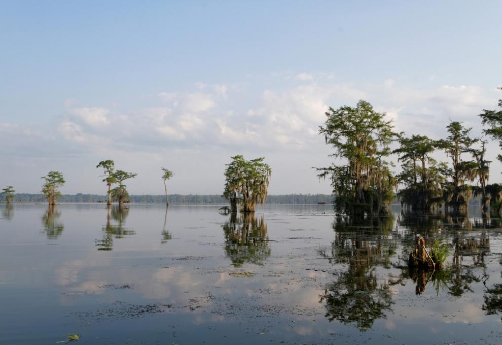 Řeka Mississippi ve státě Louisiana na jihu USA. - Cestovinky.cz