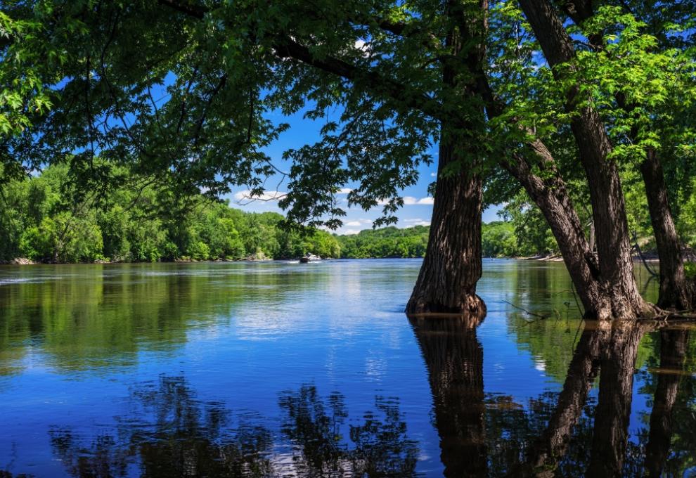 Průzračné vody řeky Mississippi ve středozemí USA. - Cestovinky.cz