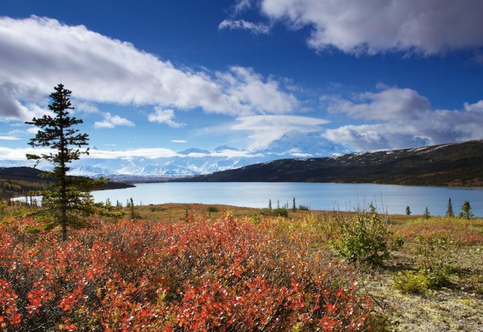 Denali - Wonder Lake na Aljašce - Cestovinky.cz