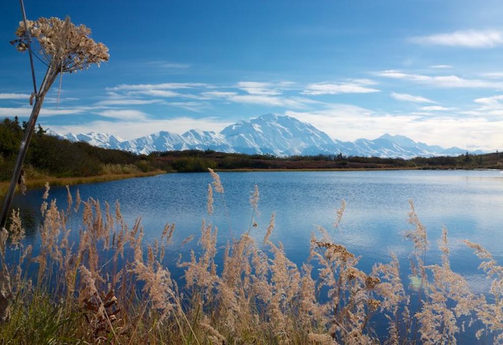 Denali - Mount McKinley - Cestovinky.cz