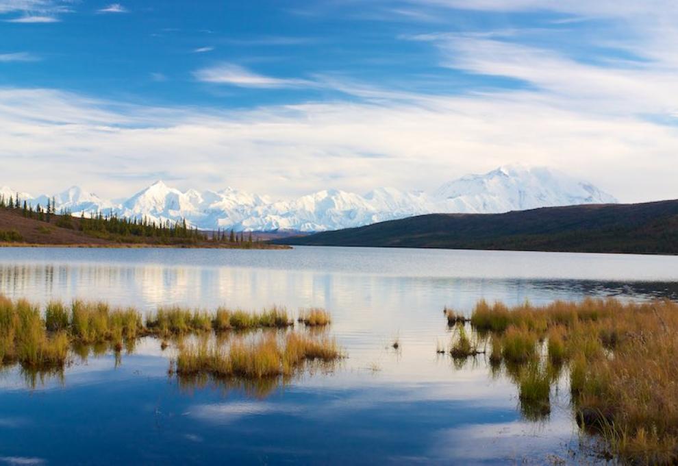 Denali - Mt. McKinley od Wonder Lake - Cestovinky.cz