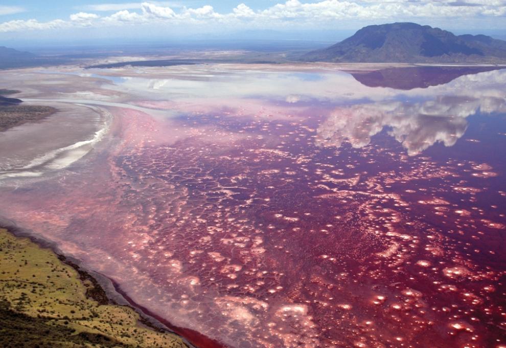 Natronové jezero v Tanzanii. - Cestovinky.cz