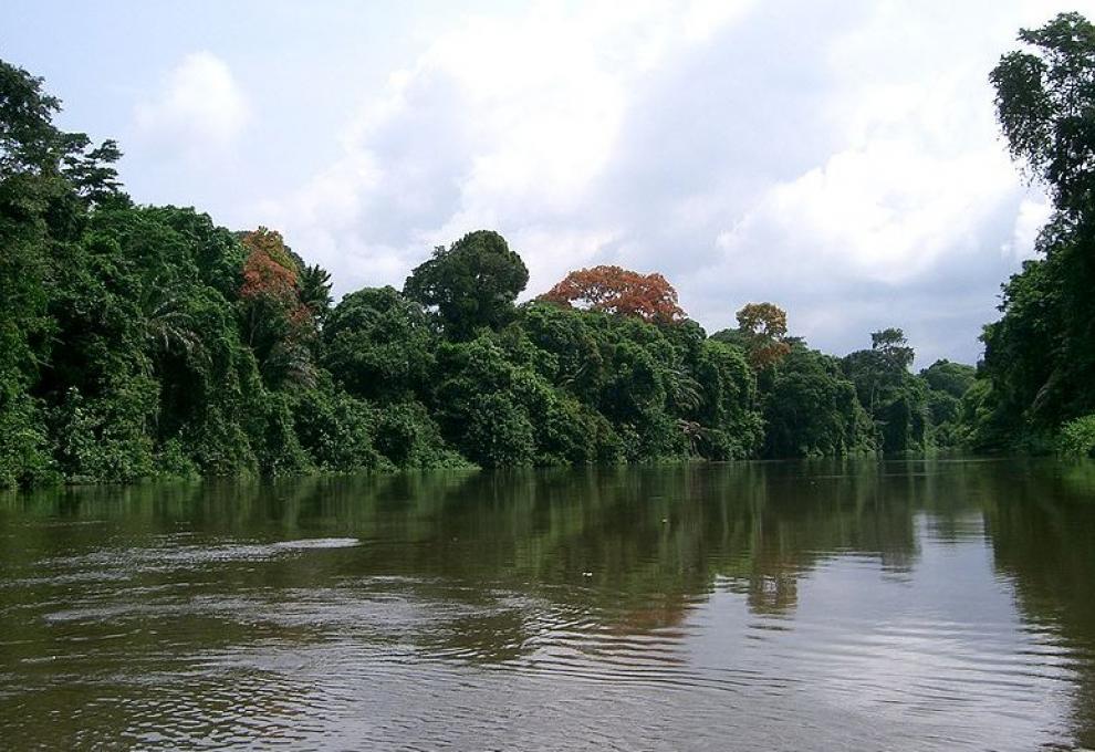Malebná příroda a řeka Dja v chráněném území rezervace Dja v Kamerunu. - Cestovinky.cz