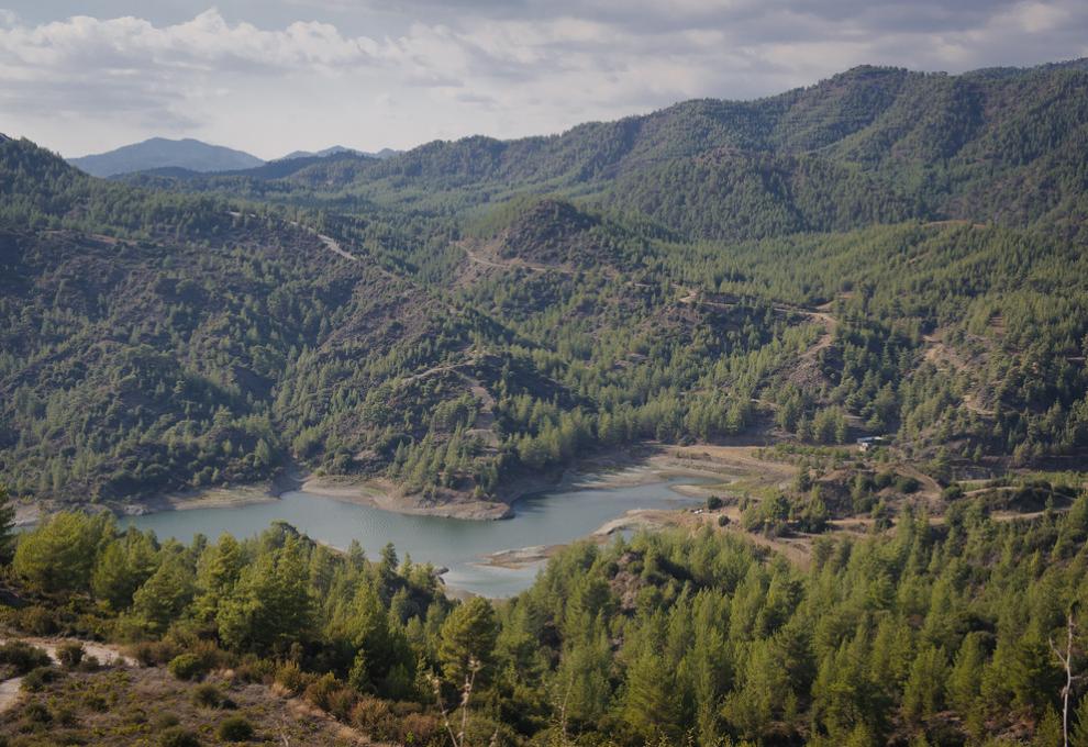 Troodos a jeho lesní bohatství  - Cestovinky.cz