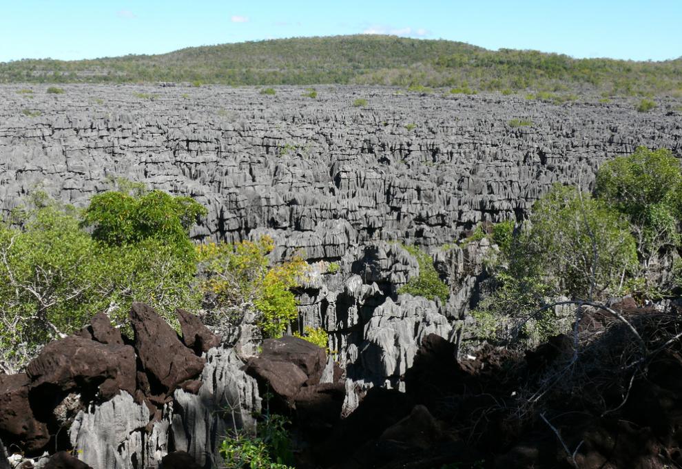 Pohled na tsingy v rezervaci Ankarana na ostrově Madagaskar - Cestovinky.cz