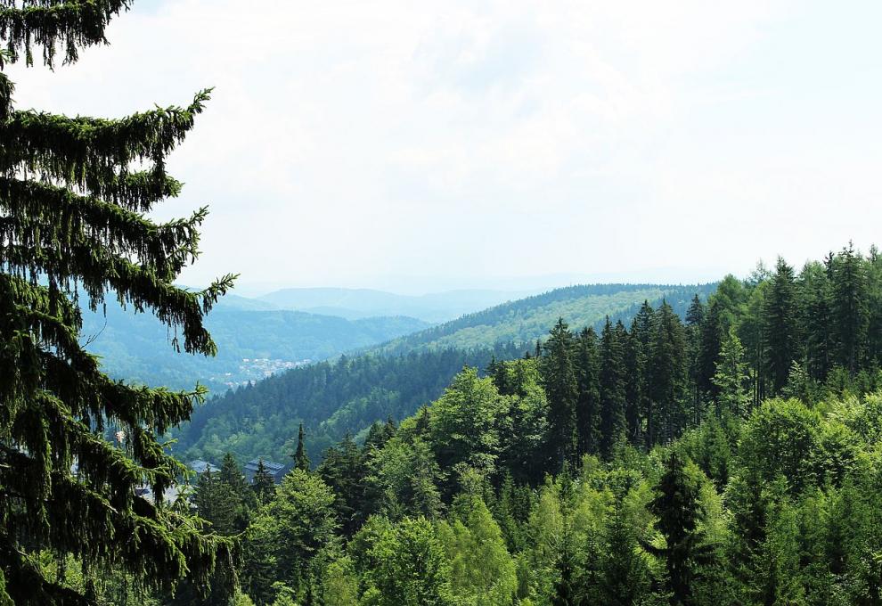 Černá hora - Cestovinky.cz