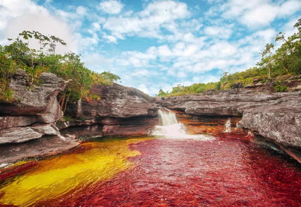 cano cristales v cervene - Cestovinky.cz