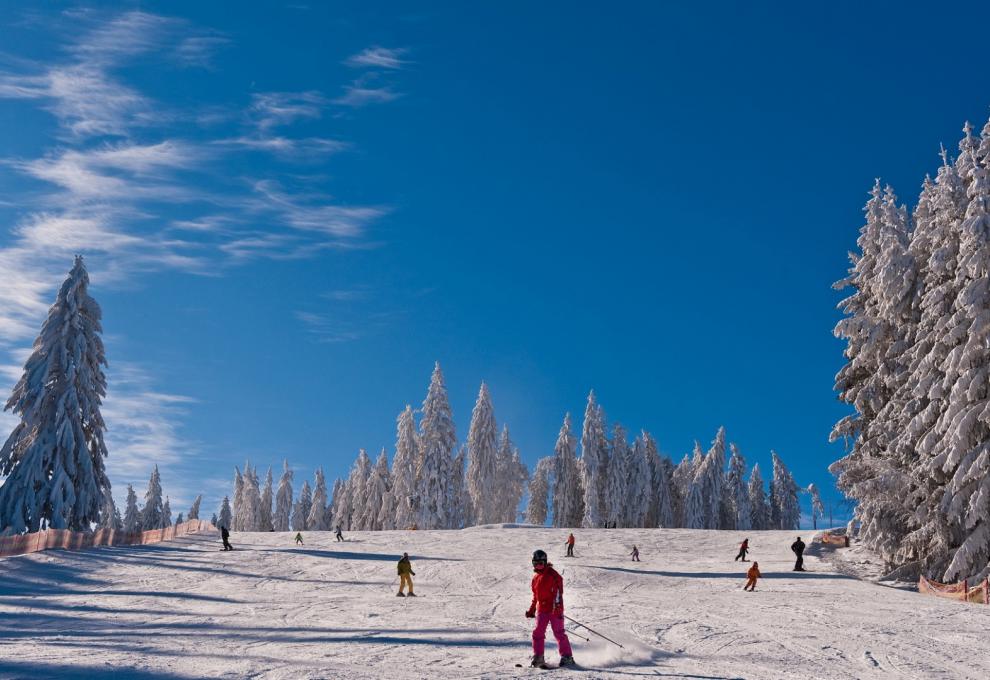 ski areál Lipno - Cestovinky.cz