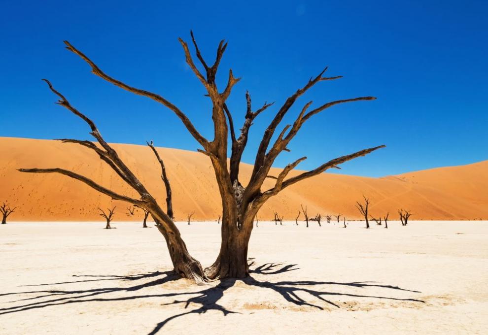 Deadvlei v Namibijské poušti - Cestovinky.cz