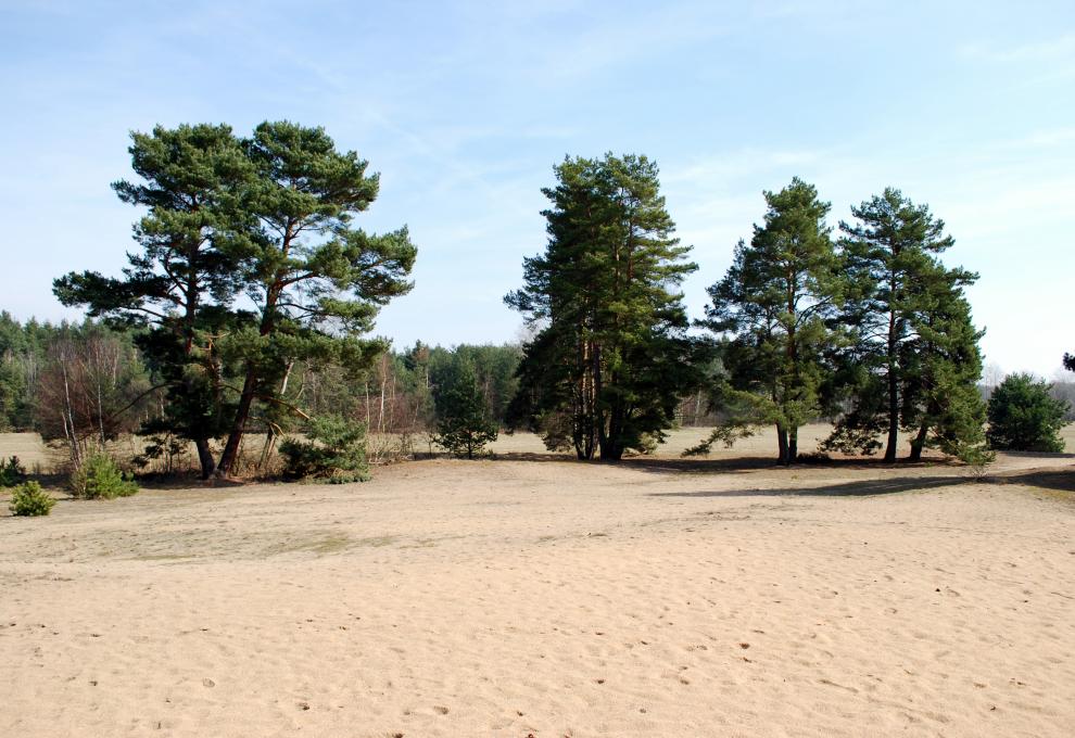 Přírodní rezervace - Cestovinky.cz