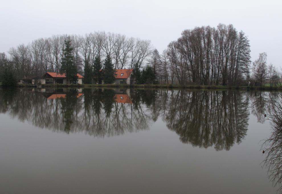 Vražda u Mladé Boleslavi - Cestovinky.cz