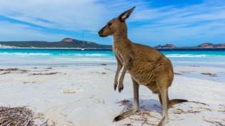Nejkrásnější pláže Austrálie