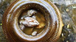 Sud s fermentovanými rybami