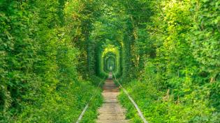 Tunnel of Love Ukraine