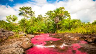 cano cristales úvodní