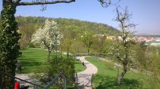 Petřín z parku Sacré Coeur - Cestovinky.cz