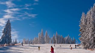 ski areál Lipno - Cestovinky.cz