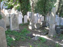 Starý radlický židovský hřbitov v Praze