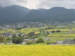 Jufuinská krajina