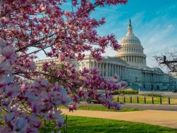 fototest světové metropole 5