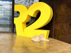 Hotelový maskot u recepce