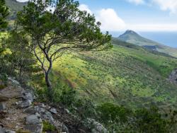 Porto Santo – Pico Castelo