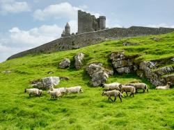 Rock of Cashel Irsko