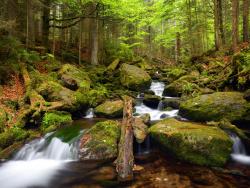 Šumava: největší národní park 