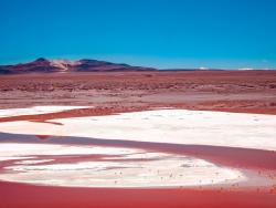 Laguna Colorada