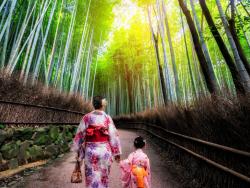 Bambusový les Arashiyama, Japonsko