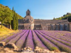 Klášter Sénanque v Provence