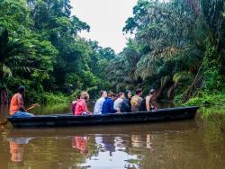 NP Tortuguero